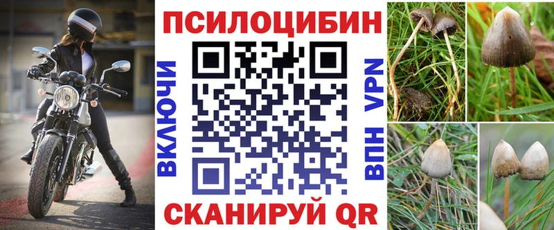 блэк спрут   купить   Верещагино  Псилоцибиновые грибы Magic Shrooms 